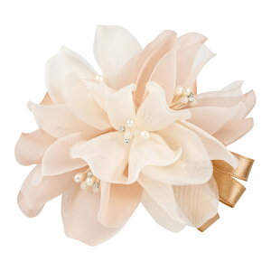 cocomam I[KW[ VCj[[RT[W x[W O[ sN