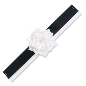 YONEOKA RIBBON e ё zp{ 6io{ zTCY A4TCYȏ