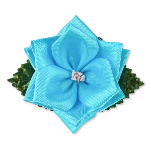 YONEOKA RIBBON {L ( J) o Ԃ̂ Ǝ w   T Zj[ Cxg p[eB[