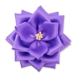 yS24FzYONEOKA RIBBON {L iJ ́j {o Ԃ̂ 1 M[FiԁEEsNEj{VFTeJ[i20FjǉI