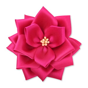 yS24FzYONEOKA RIBBON {L iJ ́j {o Ԃ̂ 12Zbg M[FiԁEEsNEj{VFTeJ[i20FjǉI