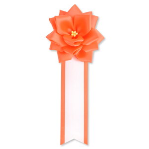 yS24FzYONEOKA RIBBON {L ( J  ) {o ^t 20Zbg M[FiԁEEsNEj{VFTeJ[i20FjǉI