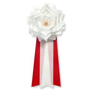 YONEOKA RIBBON {L ( J  ) 僊{o ^t 6Zbg 4F   sN 