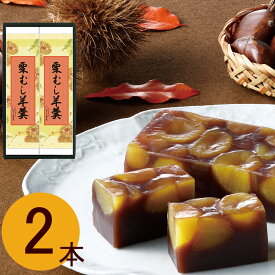 なごみの米屋 栗むし羊羹2本詰 310g×2
