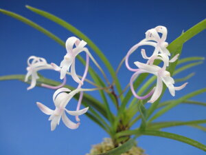 yxMzPiЂ߁j3/@ԁ@@ÓTA@tE