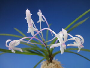 yxMziƂj2-3/@ԁ@@ÓTA@tE