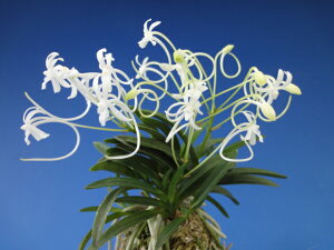 yxMzij3/@ԁ@@ÓTA@tE