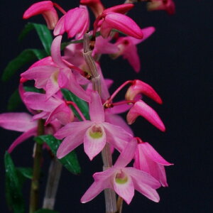 yΝ͉ԕiZbRNjzgij/3-4