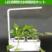 LED照明付水耕栽培キット