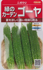 �y�j�K�E���z�΂̃J�[�e���S�[���y�T�J�^�̃^�l�z�i3.3ml�j�t�܂���؎�i920932�j