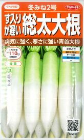 【ダイコン】す入りが遅い冬みね2号【サカタ交配】 （5ml）野菜種/総太大根[秋まき]