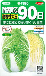 yϕac90z~90yTJ^zzTJ^̃^l/؎픒؃nNTC[H܂]i0.9mlj922608