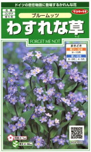 y킷ȑzu[bcyTJ^̃^lzi0.2mljyϊNz[H܂]906900