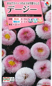 【デージー】タッソーストロベリー&クリーム【タキイ種苗】(50粒)【耐寒性一年草】[秋まき】