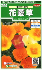 yԕHzd炫yTJ^̃^lzi0.5mljyϊNz[t܂][H܂]906640