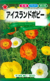 楽天市場 アイスランドポピー 花 ガーデン Diy の通販