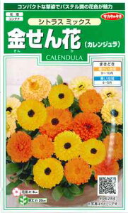 yԁiJWjzVgX~bNXyTJ^̃^lzi3mljyϊNzLZJ/񂹂[H܂]906284