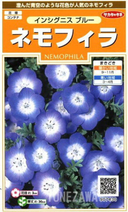 楽天市場 ネモフィラ インシグニスブルー サカタのタネ 0 5ml 耐寒性一年草 秋まき Hana Uta 米沢園芸 楽天市場店