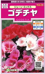 ySf`AiSf`jzW[~bNXyTJ^̃^lzi0.1mljyϊNz[t܂][H܂]905190