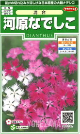 【ナデシコ】河原なでしこ混合【サカタのタネ】（0.5ml）【多年草】[秋まき]906592