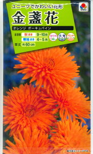 yᵉԁzIW|[LpCy^LCczi5mljJW/LZJyϊNz[H܂]