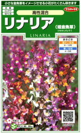 楽天市場 花 リナリアの通販