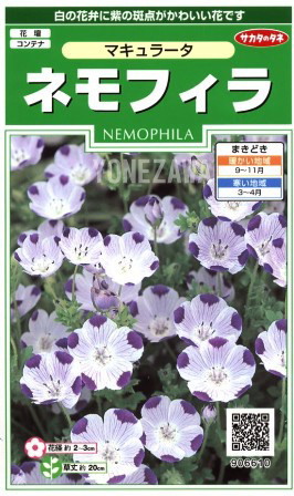白の花弁に紫の斑点がかわいい花 ネモフィラ マキュラータ サカタのタネ 激安通販 1ml 906610 即納最大半額 秋まき 耐寒性一年草