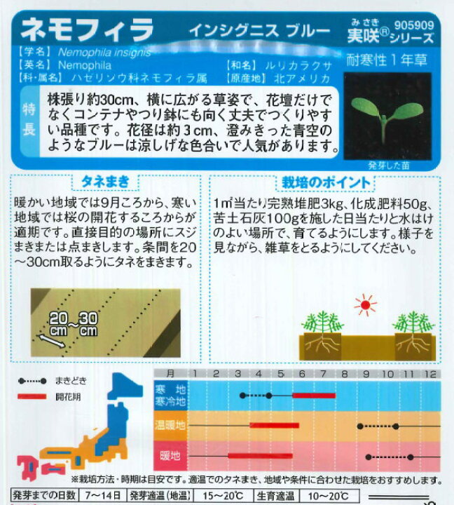 楽天市場 景観用ネモフィラ インシグニスブルー ボリュームパック 2g サカタのタネ 秋まき Hana Uta 米沢園芸 楽天市場店