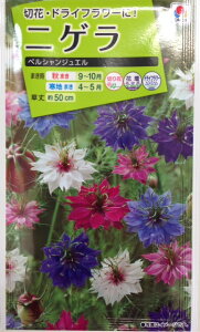 yjQi푐jzyVWGy^LCzi1.5mljygnH܂zyϊNz[H܂]