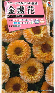 yᵉԁzsNTvCYy^LCczi3mljJW/LZJyϊNz[H܂]