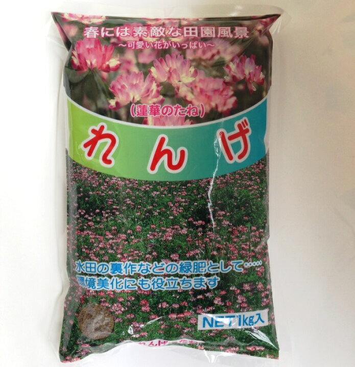 楽天市場 緑肥 景観用 レンゲの種 小林種苗 れんげ草 蓮華 1kg 宅配便発送 Hana Uta 米沢園芸 楽天市場店