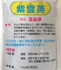 袋裏