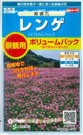 【景観用レンゲ】紫雲英　ボリュームパック（12g）【サカタのタネ】れんげ[秋まき]905913