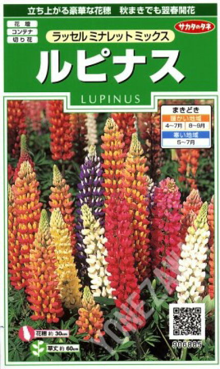 花絵の具 ピンクフラワーガーデン サカタのタネ 5ml 耐寒性一年草等 秋 花絵の具 ピンクフラワーガーデン サカタのタネ 5ml 耐寒性一年草等 秋