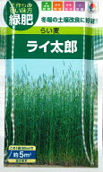 【緑肥（超極早生らい麦）】ライ太郎【タキイ種苗】（60ml）[春まき][秋まき]