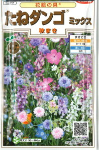 yԊG̋z˃_S~bNXiH܂jyTJ^̃^lzi10gjyϊNz[H܂]909351