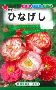 y|s[zЂȂyg[zNzi0.2mlj[H܂][t܂]00495