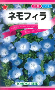 yg[zNzltBi0.6mljyϊNz[H܂]