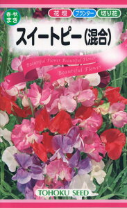 yg[zNzXC[gs[iji2.5mljyϊNz[H܂]