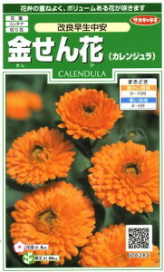 yԁiJWjzǑyTJ^̃^lzi3mljyϊNzLZJ/񂹂[H܂]906281