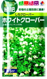 【緑肥・景観に】ホワイトクローバー【タキイ種苗】（60ml）しろクローバー[春まき][秋まき]