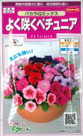【ペチュニア】バカラiQミックス【サカタのタネ】（50粒）【耐寒性1年草】[春まき][秋まき](905673)