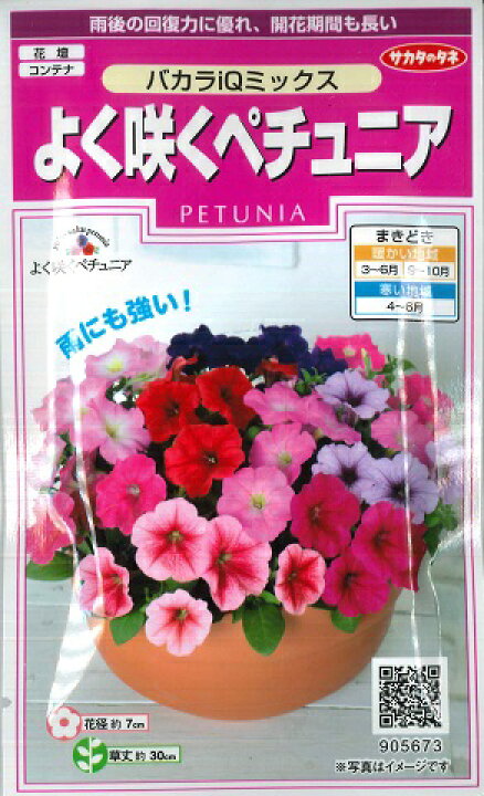 楽天市場 ペチュニア バカラiqミックス サカタのタネ 50粒 耐寒性1年草 春まき 秋まき Rcp Hana Uta 米沢園芸 楽天市場店