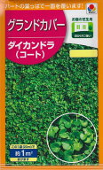 【ダイコンドラ】ダイカンドラ（コート）【タキイ種苗】（20ml）グランドカバーに/ディコンドラ/ディカン…