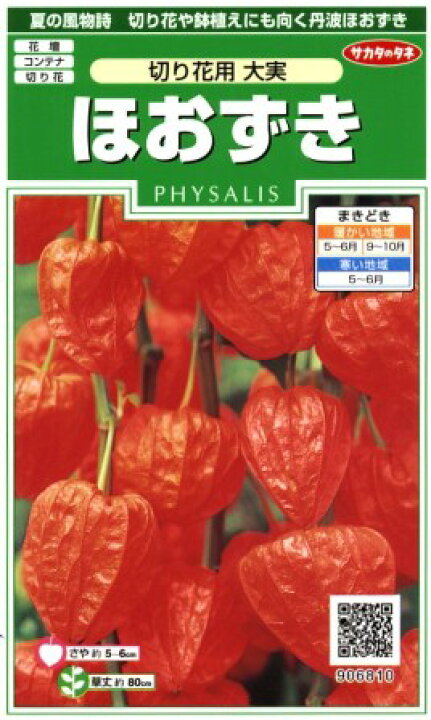 楽天市場 ほおずき 切り花用大実 サカタのタネ 0 5ml 多年草 春まき 秋まき Hana Uta 米沢園芸 楽天市場店