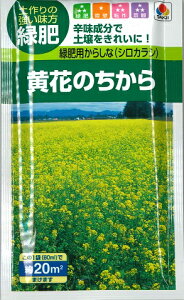 yΔp炵ȁzԂ̂i60mljVJV[H܂][t܂]y^LCczyRCPz