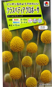 yNXyfBA@O{[TzS[hXeBbNy^LCczi0.1mljyϊNz[H܂]