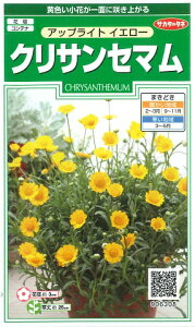 yNTZ}zAbvCgCG[yTJ^̃^lzi0.5mljyϊNz[t܂][H܂]906308