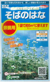 【景観用 そばのはな】ミルキーウェイ　ボリュームパック（15g）【サカタのタネ】[春まき][秋まき]905914