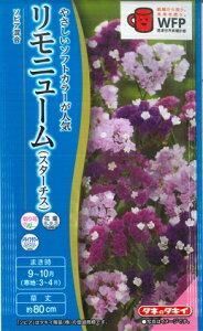 yX^[`Xzj[i\sAjy^LCczi0.2mlj[t܂][H܂]